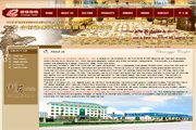 Shandong Boxing Chuangyi Carpet Co., Ltd.