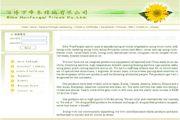 Zibo WanFengQi Tricot Co., Ltd